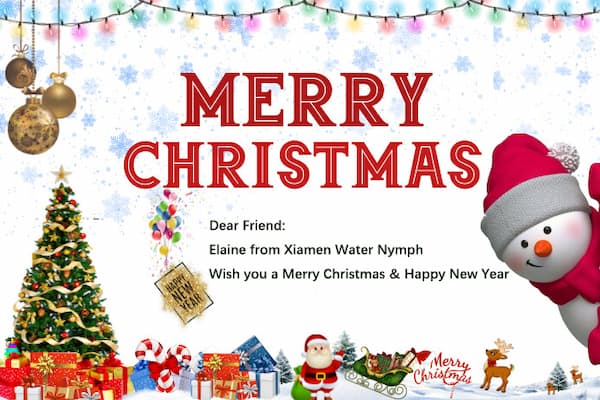 La Ninfa dell'Acqua vi augura un Buon Natale e un Felice Anno Nuovo