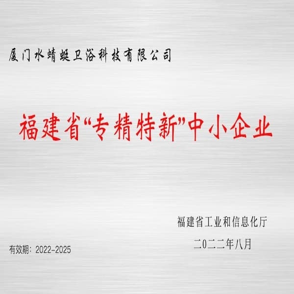 Ente premiatore per le piccole e medie imprese specializzate e sofisticate della provincia del Fujian