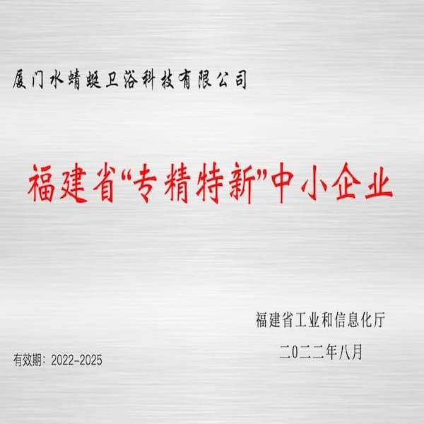 Premio Fujian specializzato e sofisticato per piccole e medie imprese